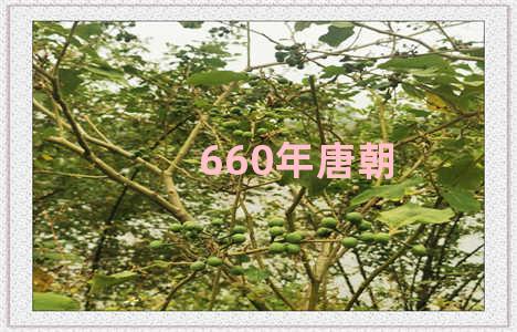 660年唐朝