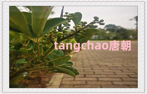 tangchao唐朝