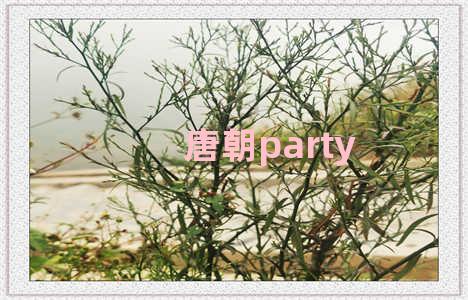 唐朝party